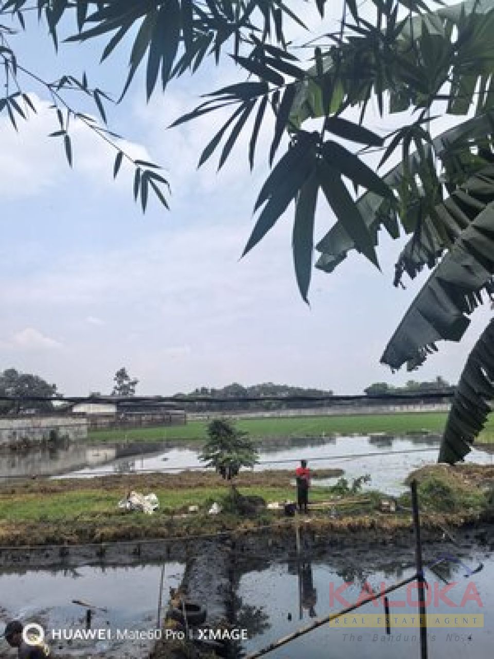 Tanah Murah Soekarno Hatta Raya Bandung